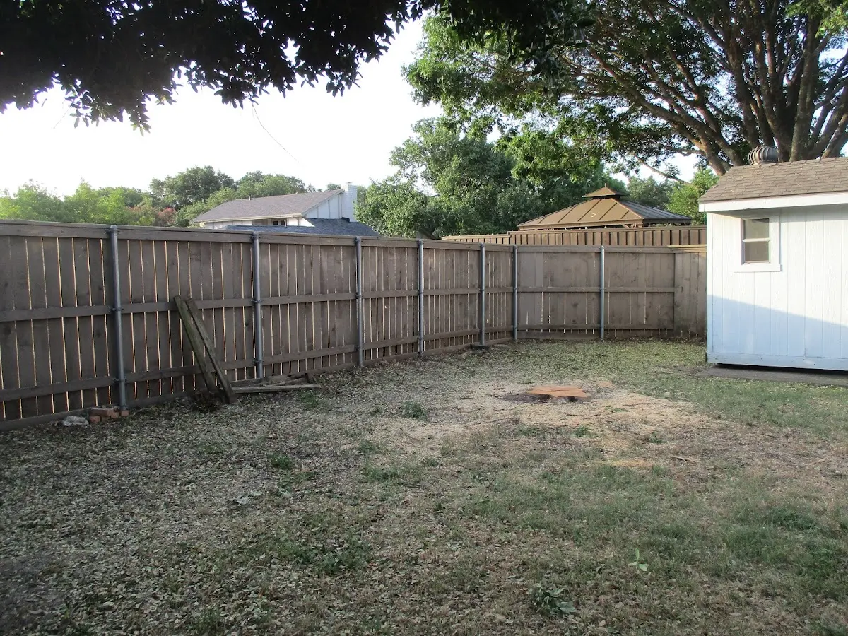 Cleared yard after professional tree removal in Waldo
