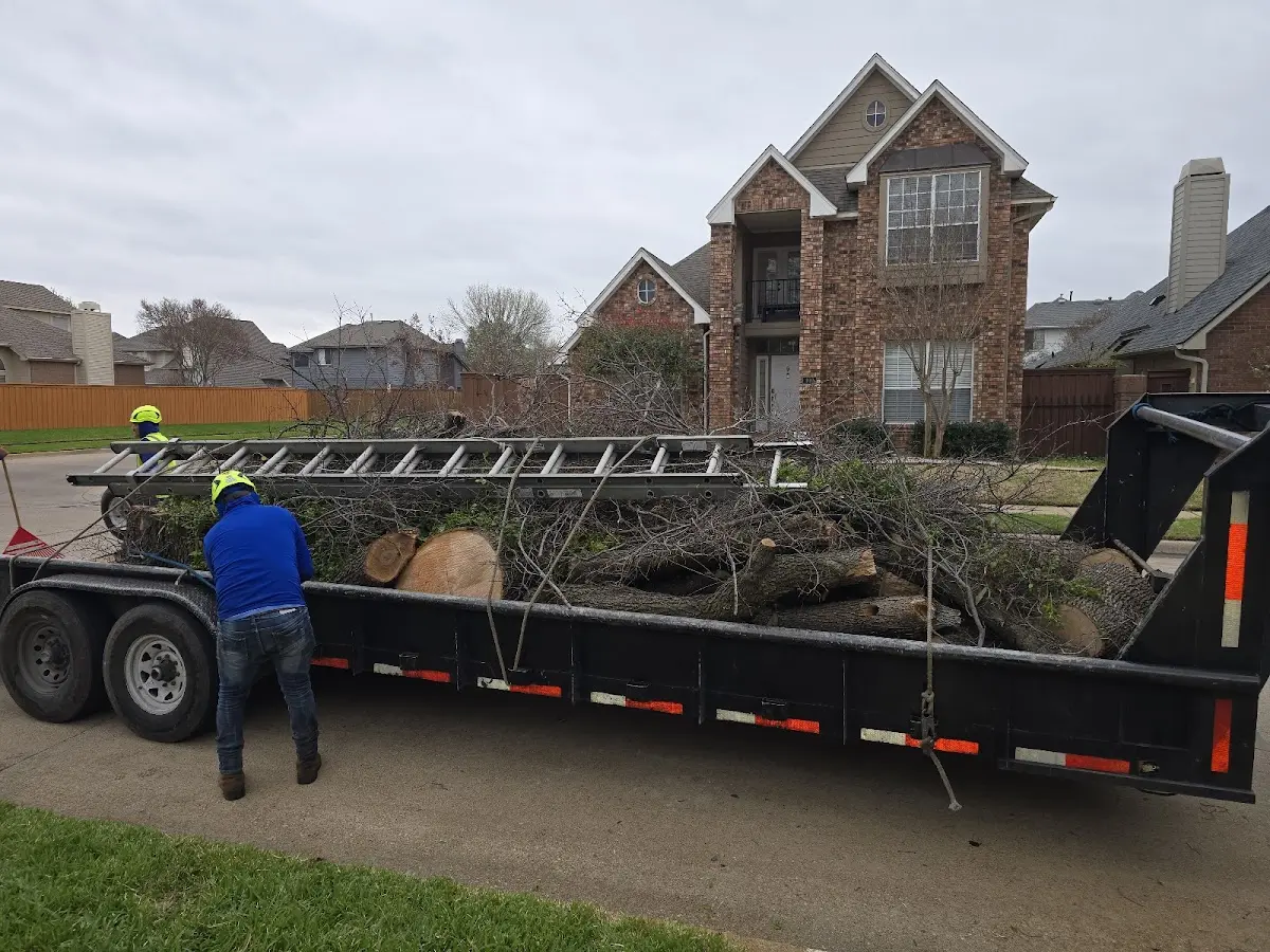 Expert Tree Pest Control with proper safety equipment in Waldo